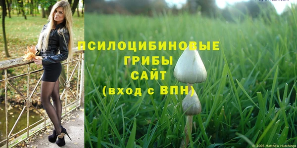 прущий лед Алексин