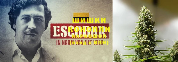 молекула духа Алексеевка