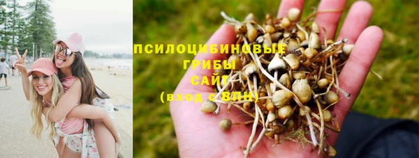 меф Алзамай