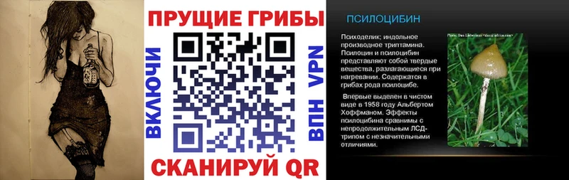 Галлюциногенные грибы Magic Shrooms Нижняя Салда