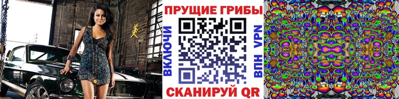 Псилоцибиновые грибы Cubensis  Нижняя Салда 